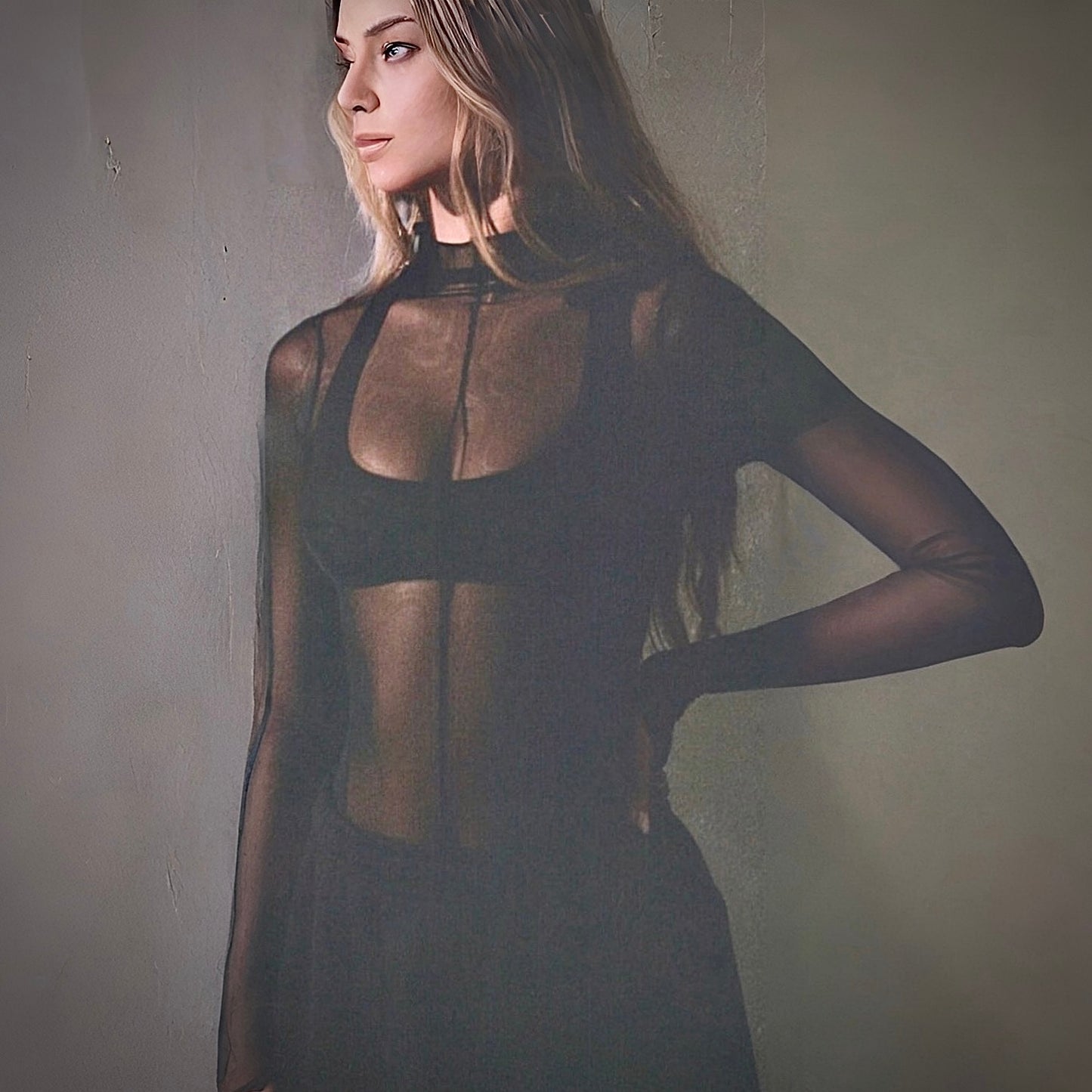 Mesh Long Sleeve Top