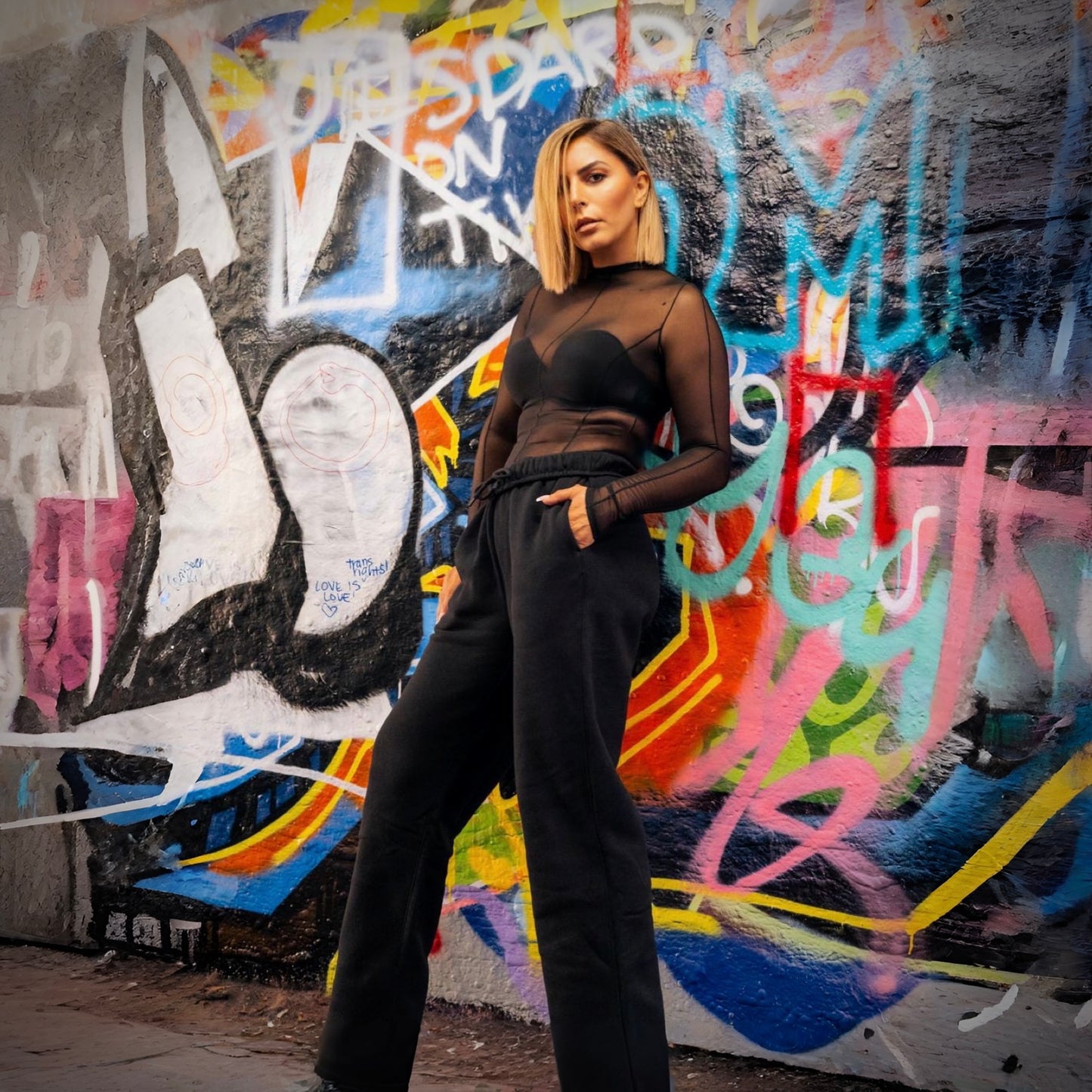 Mesh Long Sleeve Top